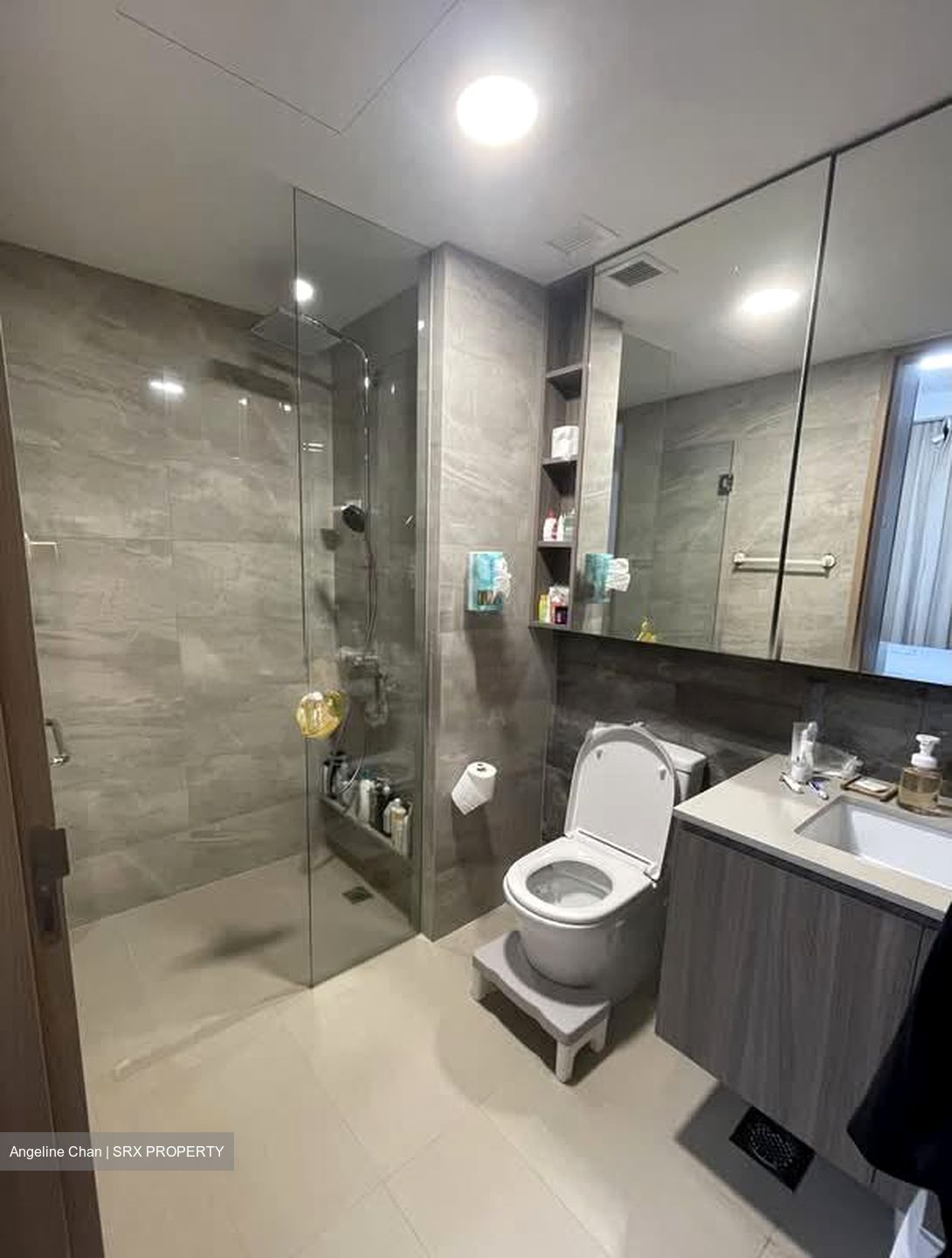 The Botany At Dairy Farm (D23), Condominium #563594241